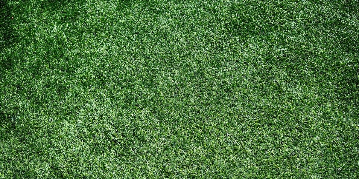 Kunstgras