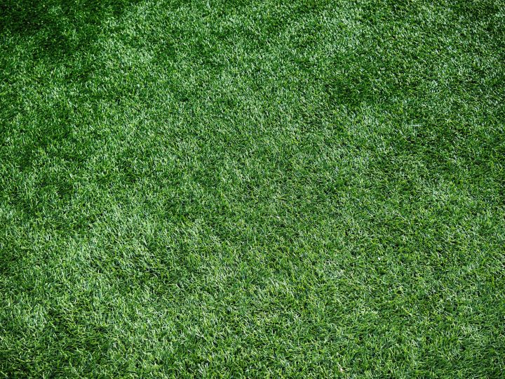 Kunstgras