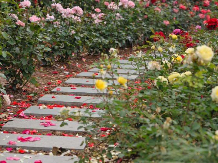 aangename tuininrichting