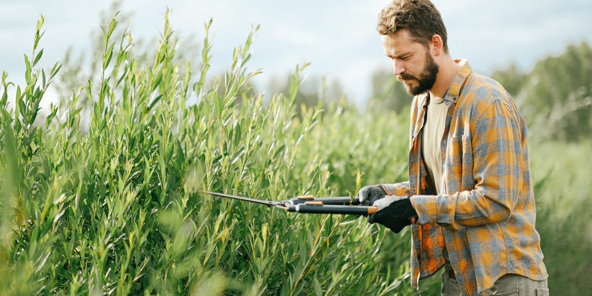 Enkele tips om je tuin efficiënt te onderhouden