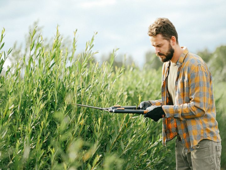 Enkele tips om je tuin efficiënt te onderhouden